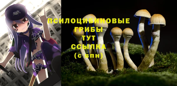кокаин Алексеевка